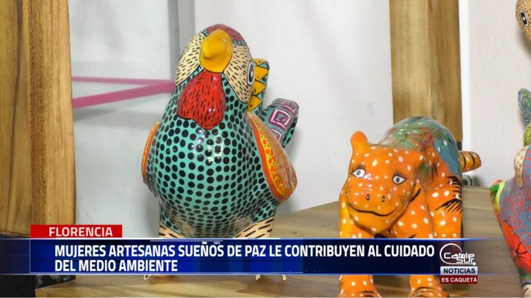 En la ciudad de Florencia esta la asociación de mujeres artesanas sueños de paz quienes con la elaboración de figuras artesanales alusivas a la flora y la fauna en material reciclado le apuestan a la conservación de la Amazonía Colombiana.
