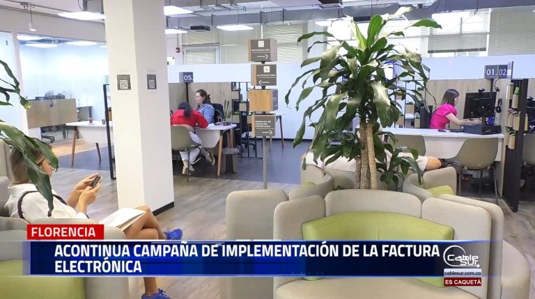 Con visitas periódicas al sector comercio, capacitaciones a estudiantes de instituciones educativas la Dian busca incentivar la cultura de expedir y exigir la factura electrónica.