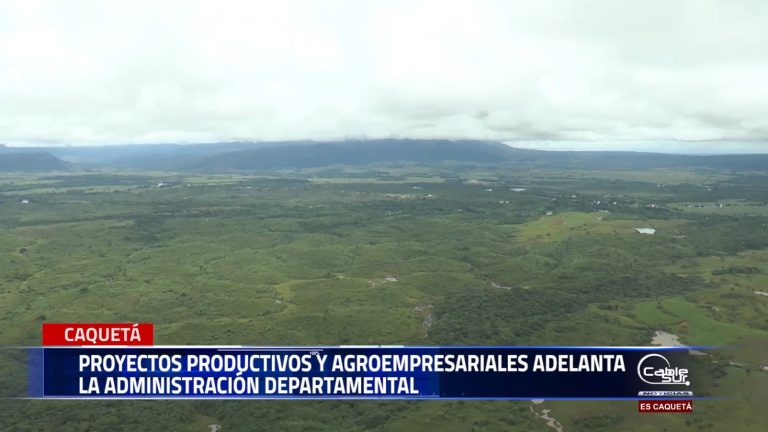Proyectos productivos y de sostenimiento adelanta la gobernación de Caquetá a través de la secretaria ambiental y de agricultura.