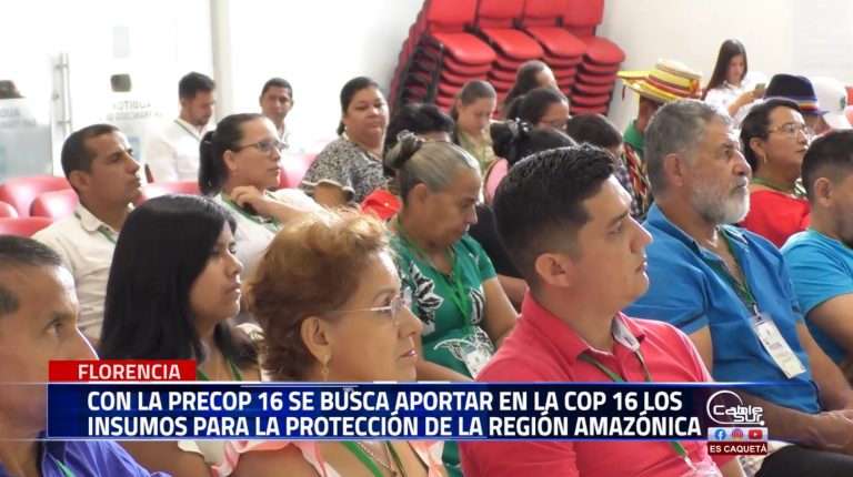 La arquidiócesis de Florencia junto a la red eclesial panamazónica repam Colombia, y comunidad realizo el encuentro precop16: voces unidas por la paz y la biodiversidad.  