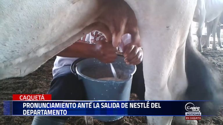 Ex gobernador del departamento de Caquetá habló de las implicaciones que trae la salida de la multinacional Nestlé.