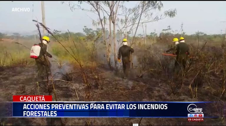 Los incendios forestales vienen afectando varias regiones del país la oficina de gestión de riesgo del departamento de Caquetá.