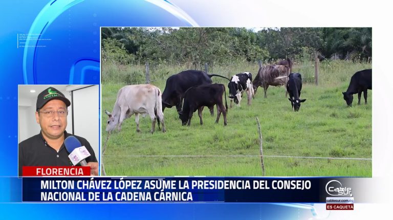El caqueteño Milton Chávez fue nombrado como presidente del consejo nacional de la cadena cárnica organismo consultivo del gobierno Nacional.