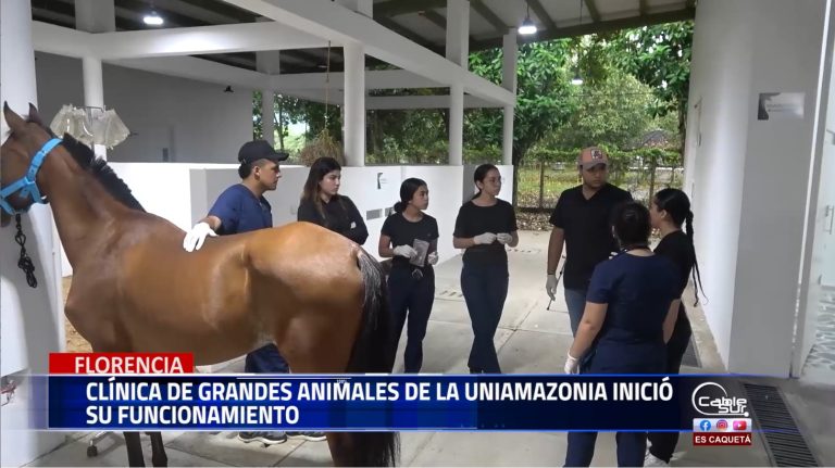 La Universidad de la Amazonia se enorgullece en recibir a su primer paciente en las nuevas instalaciones de la clínica de grandes animales.