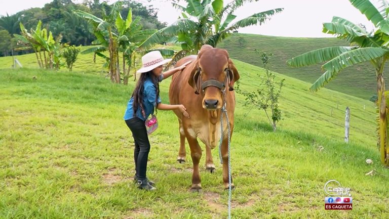 Igualmente los niños son importantes en expo Caquetá la feria de Florencia.