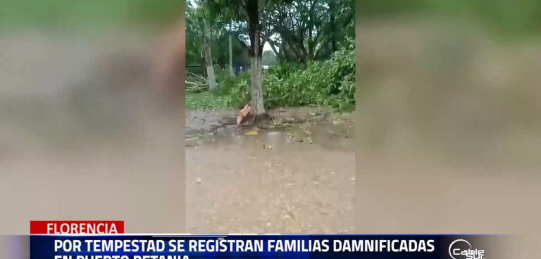 En la inspección de puerto Betania jurisdicción de San Vicente del Caguán por causa de un vendaval afecto a la institución educativa y dejo damnificadas a varias familias en esta región.