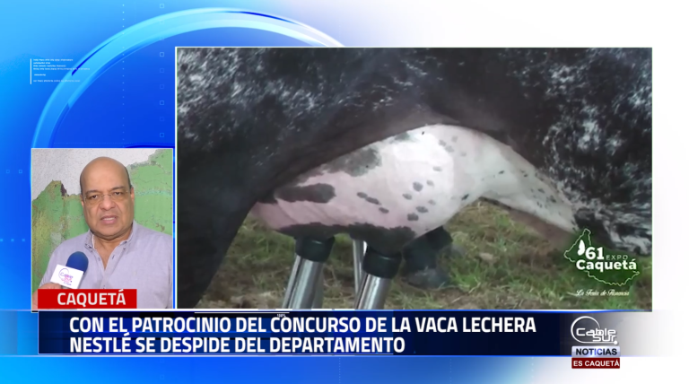 En el marco de expo Caquetá la feria de Florencia se realizan dos concursos de ordeño el primero de Asocebú y el segundo la vaca lechera.