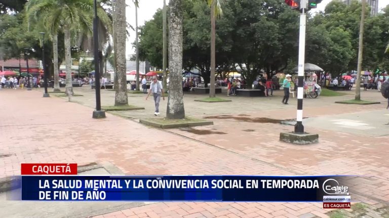 La salud mental es un estado dinámico que incluye el bienestar emocional, psicológico y social. Para promover, prevenir, tratar y rehabilitar los problemas y trastornos mentales.