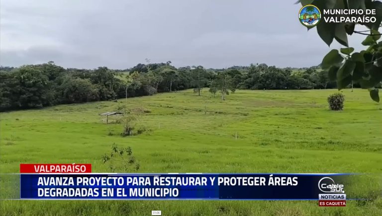 Avanza proyecto para restaurar y proteger áreas degradadas en el municipio de Valparaíso.