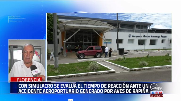 Con un simulacro se busca medir la reacción de los organismos de seguridad ante una eventual emergencia generada por presencia aves de rapiña en inmediaciones del terminal aéreo de Florencia