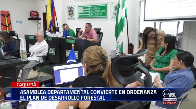Asamblea departamental por unanimidad aprueba en sesiones extras el plan de desarrollo forestal que se convierte en ordenanza tendrá una vigencia de 30 años.