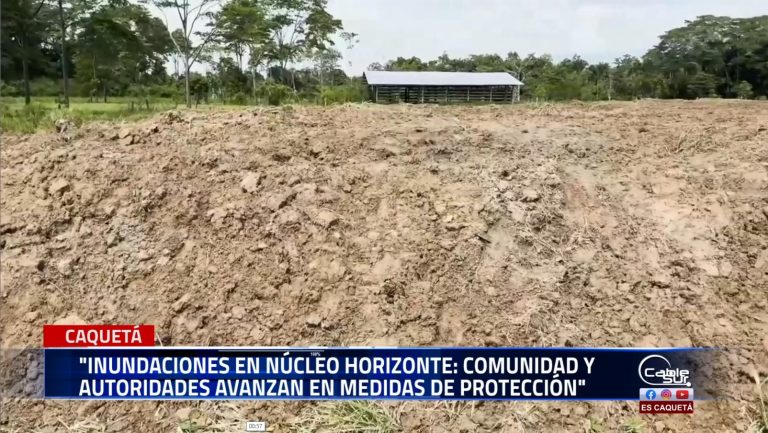 Durante años, las inundaciones en el sector del núcleo horizonte, en Curillo, Caquetá, han afectado gravemente a la comunidad, dejando pérdidas significativas en la ganadería y la economía local