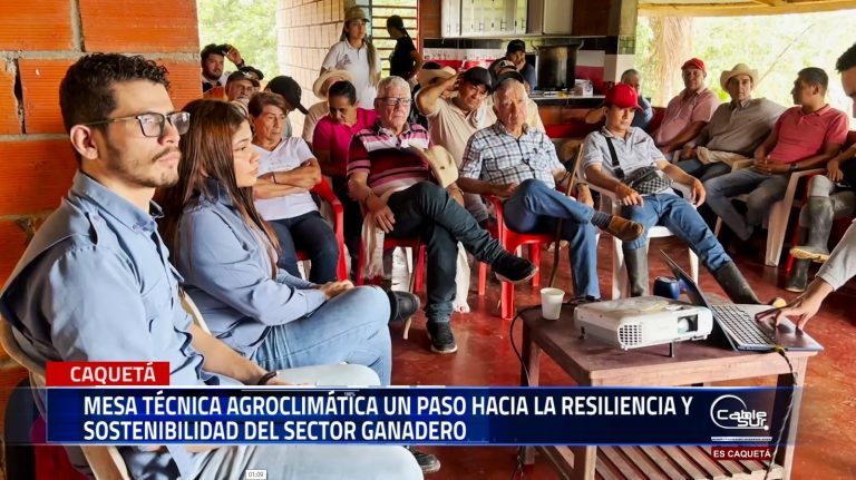 En la finca la Argelia 4a, ubicada en la vereda venturas del municipio de el Doncello, se llevó a cabo la mesa técnica agroclimática, un evento fundamental para fortalecer la sostenibilidad y adaptación del sector ganadero a los desafíos climáticos actuales.