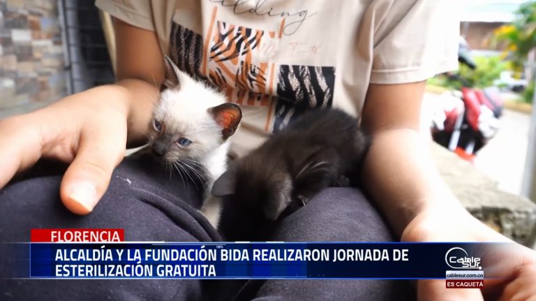 En el marco de su compromiso con el bienestar animal y la tenencia responsable, la alcaldía de Florencia, en articulación con la fundación BiDa, llevó a cabo una nueva jornada de esterilización gratuita.