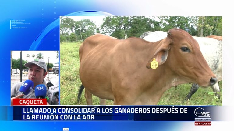 Luego de una reunión clave con la agencia de desarrollo rural, se hace un llamado a fortalecer el sector ganadero, promoviendo estrategias que impulsen su crecimiento y sostenibilidad.