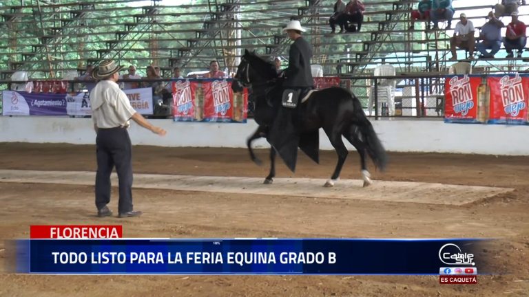 Todo está listo para la feria equina grado b en la ciudad de Florencia.