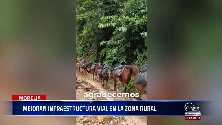 En un esfuerzo conjunto entre la administración municipal y la comunidad, se avanza en la construcción de más de 1.5 km de cinta huella en la zona rural de Morelia.