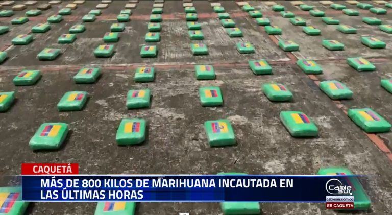 En un importante golpe al narcotráfico, tropas del Ejército Nacional lograron la incautación de más de 800 kilos de marihuana en las últimas horas.