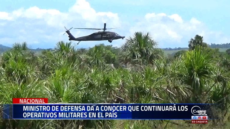 A pesar del decreto presidencial que establece un cese al fuego, el Ministro de Defensa ha confirmado que las operaciones militares continuarán.