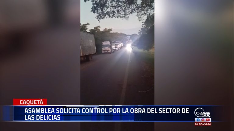 Asamblea solicita control sobre la obra del sector de Las Delicias.