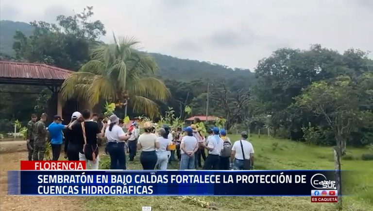 Más de 1900 árboles fueron plantados en el corregimiento de bajo Caldas, Florencia