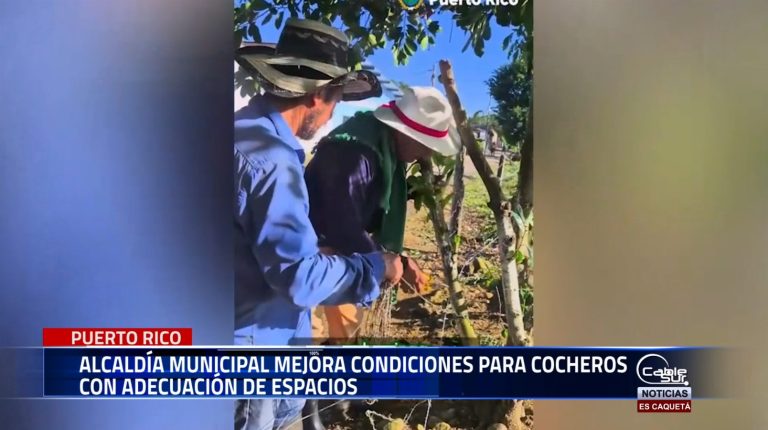 La administración municipal de PUERTO RICO adelantó labores de adecuación y limpieza en las mangas destinadas a los cocheros locales, cumpliendo con compromisos previamente establecidos.