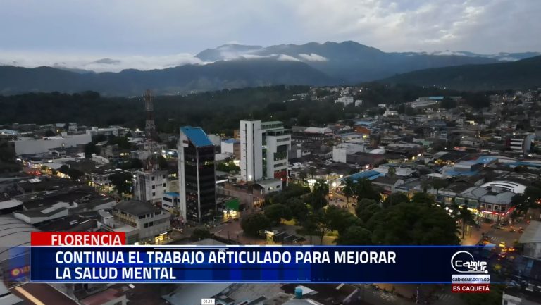 En un esfuerzo conjunto entre entidades gubernamentales, organizaciones sociales y la comunidad, sigue fortaleciéndose la estrategia para mejorar la salud mental en la ciudad.