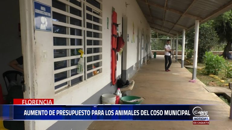 Gracias a la gestión del alcalde Marlon Monsalve, el presupuesto destinado al coso municipal aumentará a 200 millones de pesos este año,