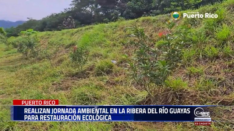 En una intervención articulada entre entidades locales y fuerzas militares, se desarrolló una jornada ambiental en la orilla del río Guayas con actividades de limpieza, mantenimiento y reforestación con especies nativas.