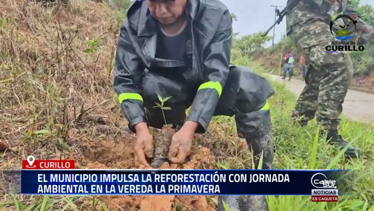 La Alcaldía de Curillo, en articulación con entidades locales y fuerzas militares, realizó una nueva jornada de reforestación como parte de su compromiso con la sostenibilidad y el cuidado del medio ambiente en el municipio.