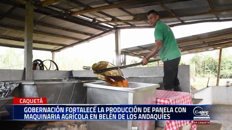 Como parte de una estrategia para impulsar el desarrollo rural, la Gobernación del Caquetá intervino predios agrícolas en Belén de los Andaquíes