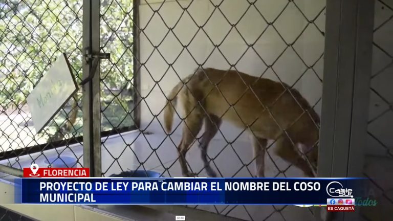 El concejal Jefferson Rocha presentó un proyecto de ley ante el Concejo Municipal para que el actual Coso Municipal pase a llamarse Albergue Municipal para Fauna – ALFA.