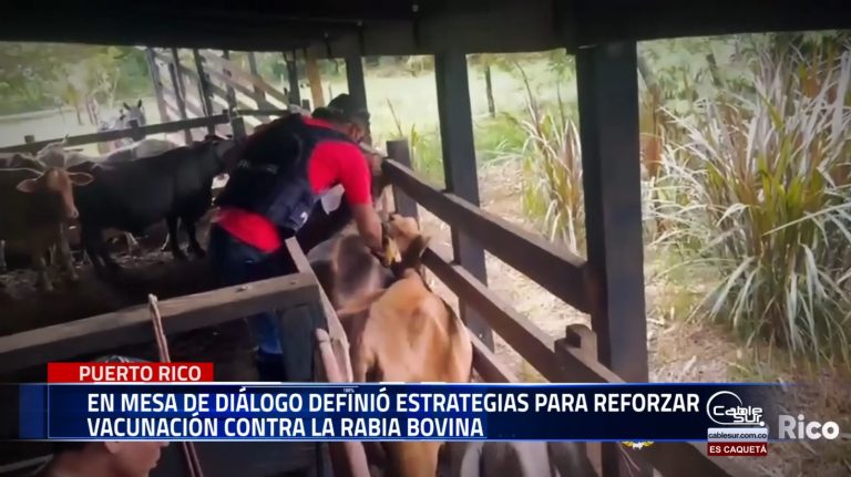 Campaña de prevención de la Rabia en animales.