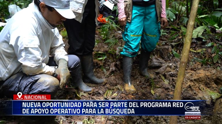 La Unidad de Búsqueda de Personas dadas por Desaparecidas (UBPD), junto a la Embajada de Suecia en Colombia y la OIM, abrió convocatoria para ser parte del Programa Red de Apoyo Operativo para la Búsqueda.