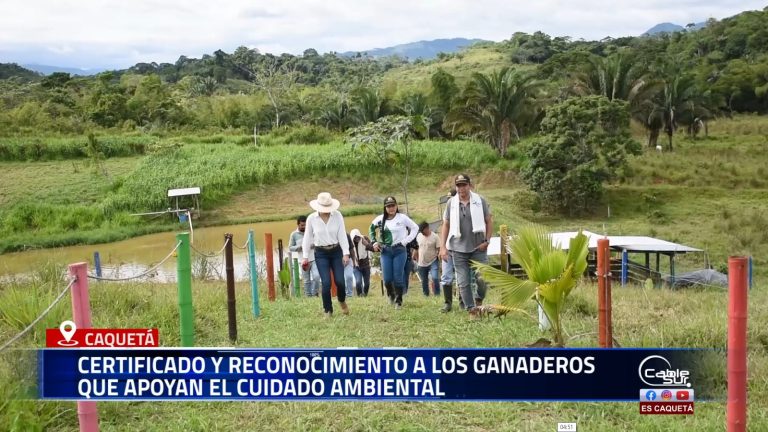 El Comité de Ganaderos del Caquetá, en cabeza de su gerente Rafael Torrijos, entregó certificados y reconocimientos a productores que promueven prácticas ganaderas sostenibles y respetuosas con el medio ambiente.