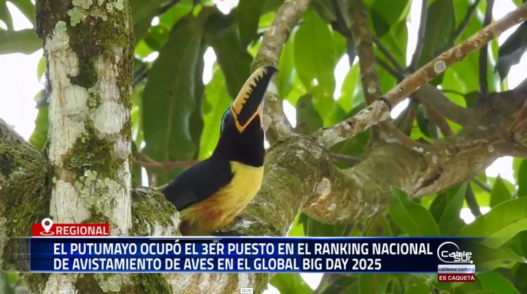 Nos enorgullece el compromiso que se tuvo con nuestro departamento ocupando el 3er puesto en el ranking nacional de avistamiento de aves en el Global Big Day 2025.