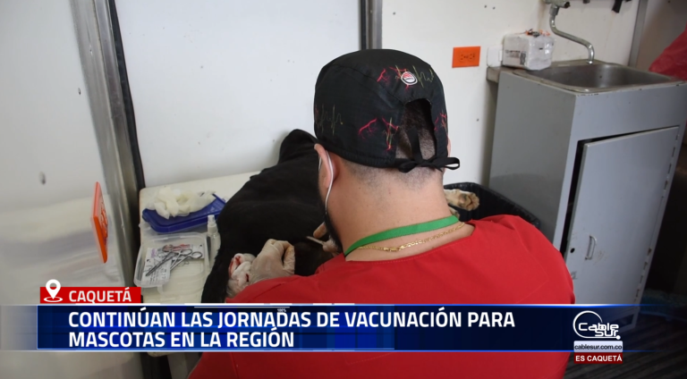 El secretario de Agricultura, Juan Pablo Jaramillo, informó que avanzan con éxito las jornadas de vacunación para perros y gatos en distintos municipios del departamento.