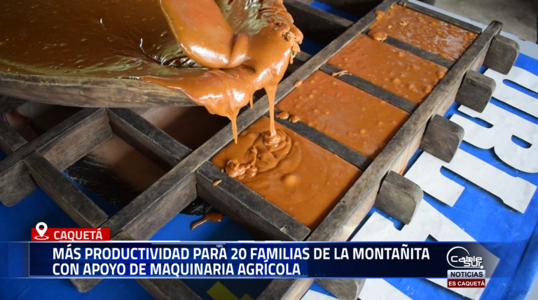 Un total de 20 familias del núcleo veredal Palma Arriba del municipio de La Montañita (Caquetá), recibirán apoyo de la Gobernación del Caquetá, a través de la Secretaría Ambiental y de Agricultura Departamental