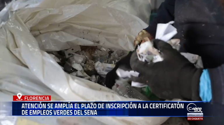 El Servicio Nacional de Aprendizaje (SENA)