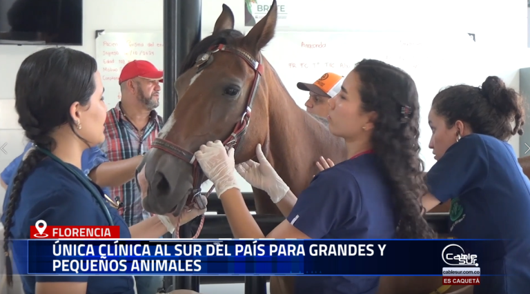 Yessica Andrea Noriega, Coordinadora de la Clínica Veterinaria y Laboratorio Clínico de la Universidad de la Amazonía, resaltó la importancia de este espacio, único en la región sur del país, que brinda atención especializada para grandes y pequeños animales.