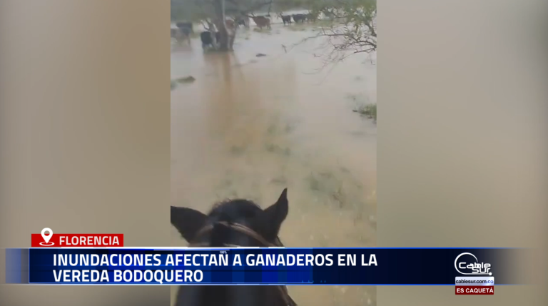 Las fuertes lluvias de las últimas horas en la zona rural de Florencia han provocado emergencias por el desbordamiento de afluentes, afectando especialmente a los campesinos ganaderos de la vereda Bodoquero.