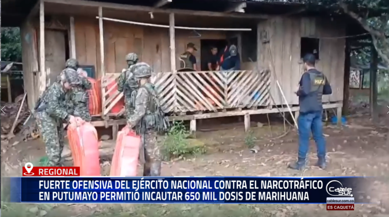 Fuerte ofensiva del Ejército Nacional contra el narcotráfico en Putumayo permitió incautar 650 mil dosis de marihuana.