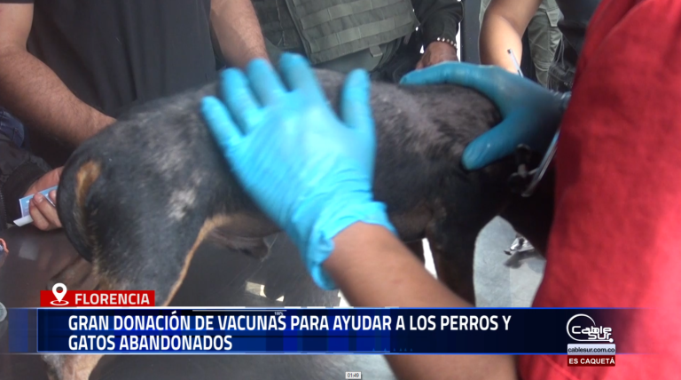 Hablamos con el concejal Rocha, quien invitó a la comunidad a sumarse al “Cumple Zoolidario”, una jornada especial en beneficio de los perritos de los refugios de Florencia.