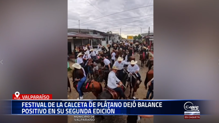 El municipio celebró con éxito la segunda versión del Festival de la Calceta de Plátano, evento que registró una alta asistencia de público y dinamizó diversos sectores de la economía local.