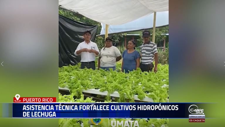 La Administración Municipal de Puerto Rico, a través de la Unidad Municipal de Asistencia Técnica Agropecuaria (UMATA), realizó una visita a la vereda Montecristo para brindar acompañamiento a la Asociación Municipal de Mujeres Campesinas Negras – ASOMMUCIC