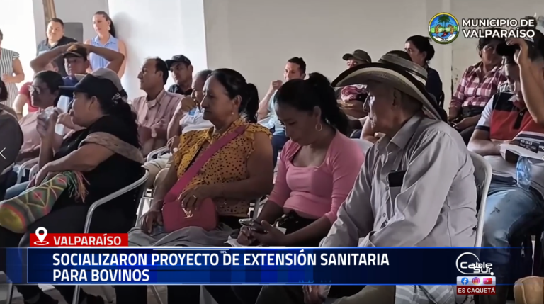 La Administración Municipal de Valparaíso realizó la socialización de un proyecto orientado a fortalecer la salud animal y la productividad ganadera en la región.