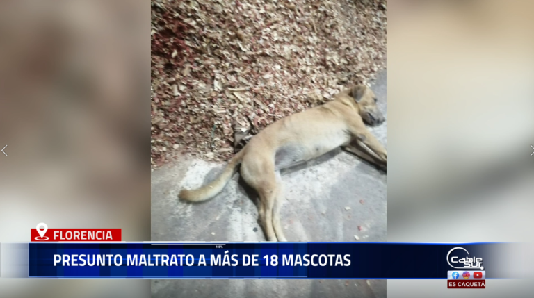 Preocupación en el barrio Bruselas por un caso de presunto maltrato que habría afectado a más de 18 mascotas.
