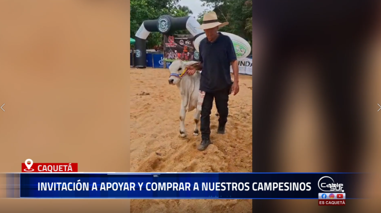 Hablamos con la diputada Elvia Medina, quien informó que continuará con sus visitas y el acompañamiento al sector agrícola del departamento.