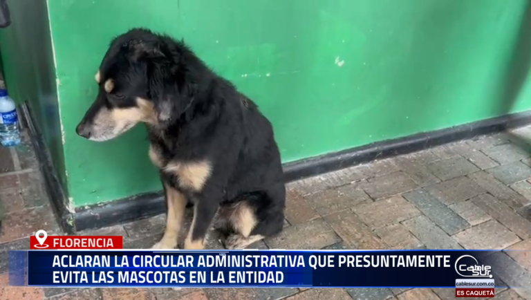 El Secretario para la Gerencia de Gobernabilidad, José Delvi Vargas, aclaró que la circular administrativa emitida recientemente no prohíbe la presencia de mascotas en la sede de la Alcaldía de Florencia, sino que busca regular las condiciones de convivencia y garantizar la seguridad tanto de los funcionarios como de la ciudadanía que asiste a la entidad.