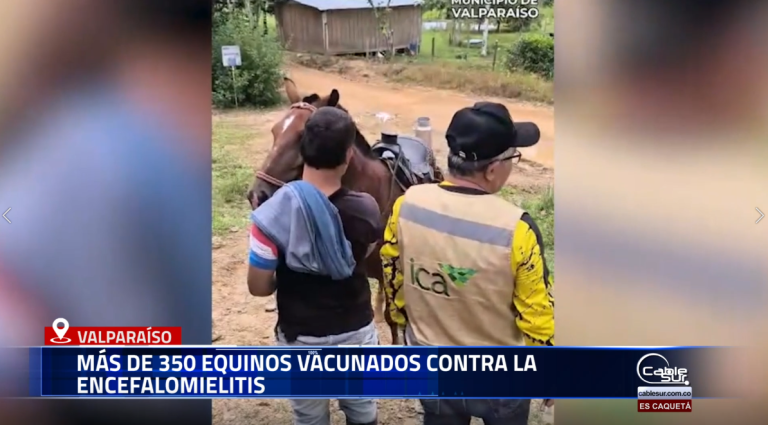 En Valparaíso se desarrolló una jornada de vacunación para prevenir la encefalomielitis equina, enfermedad transmitida por mosquitos que afecta el sistema nervioso de caballos, mulas y potros.